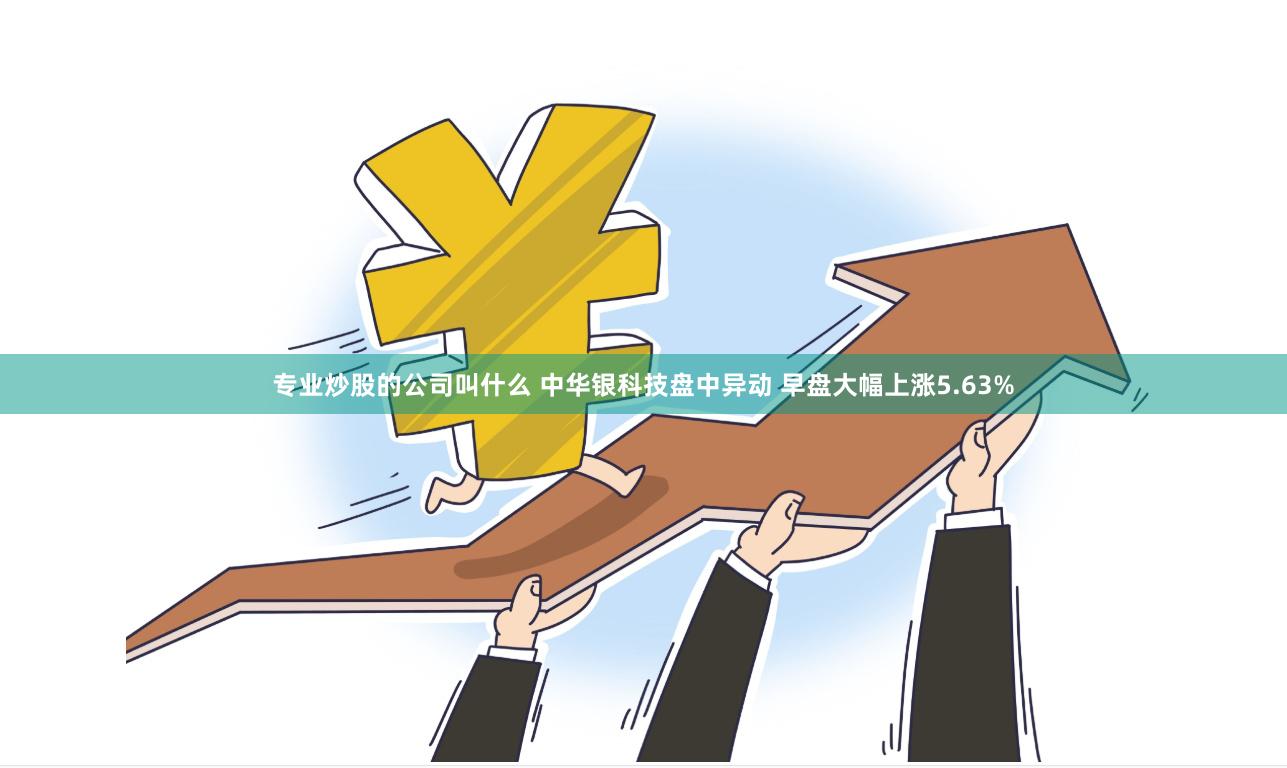 专业炒股的公司叫什么 中华银科技盘中异动 早盘大幅上涨5.63%