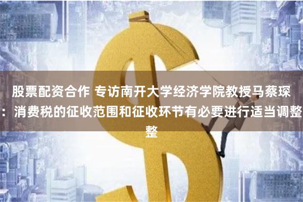 股票配资合作 专访南开大学经济学院教授马蔡琛：消费税的征收范围和征收环节有必要进行适当调整