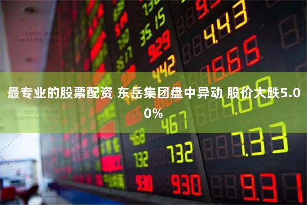 最专业的股票配资 东岳集团盘中异动 股价大跌5.00%