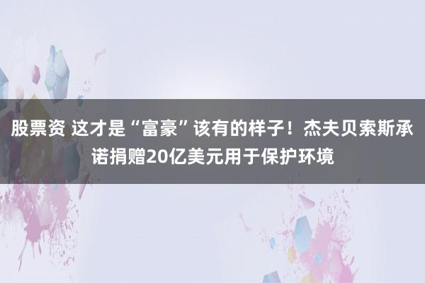 股票资 这才是“富豪”该有的样子！杰夫贝索斯承诺捐赠20亿美元用于保护环境