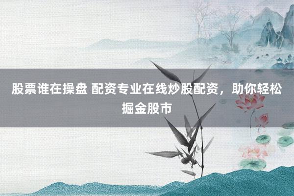 股票谁在操盘 配资专业在线炒股配资，助你轻松掘金股市