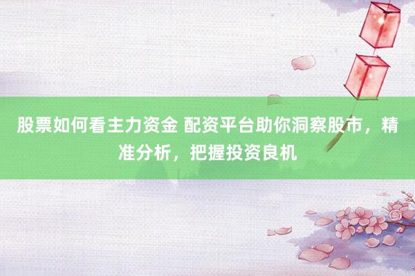 股票如何看主力资金 配资平台助你洞察股市，精准分析，把握投资良机